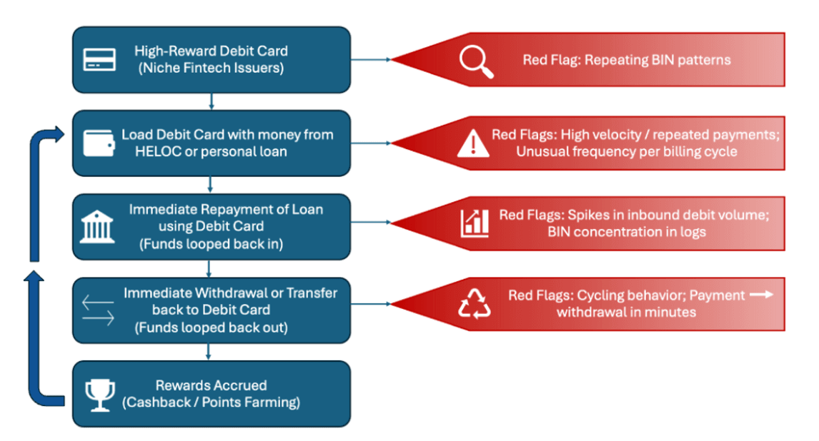 Flowchart of the debit card rewards loop, with fraud red flags at each step