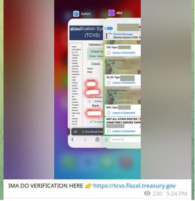 Fraudster confirming their use of TCVS to verify treasury checks.