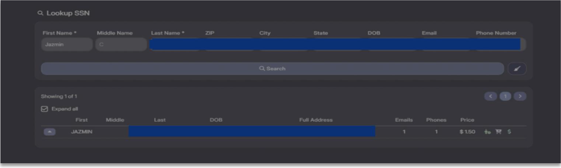 Example of SSN lookup service interface